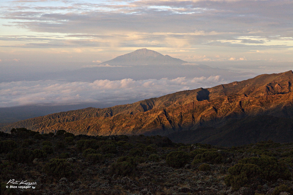 Kilimandjaro-marcheme-3