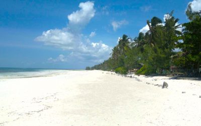 5 Bonnes raisons de séjourner à Zanzibar