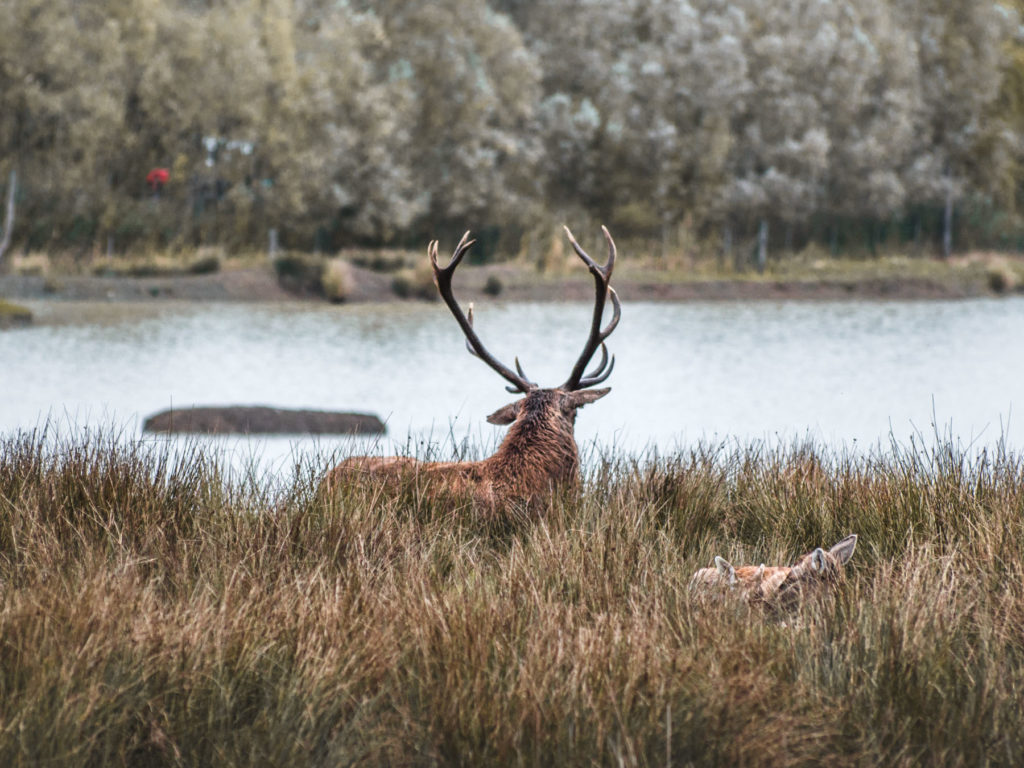 voyage en lorraine : parc de sainte-croix